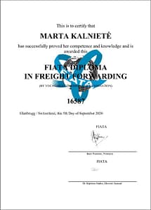 Образец диплома